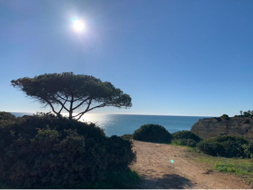 לינה וארוחת בוקר קארבואירו A Beira Do Vale, Carvoeiro מראה חיצוני תמונה